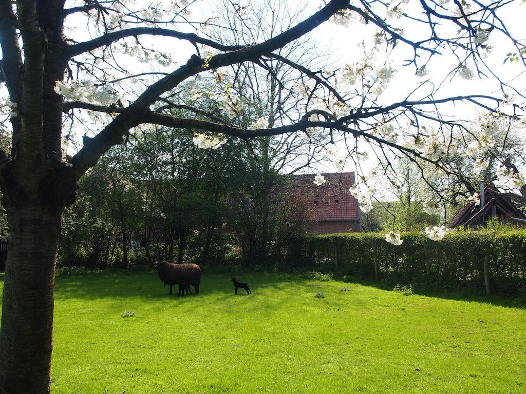 Grote Goesting Holiday House Wevelgem Zewnętrze zdjęcie